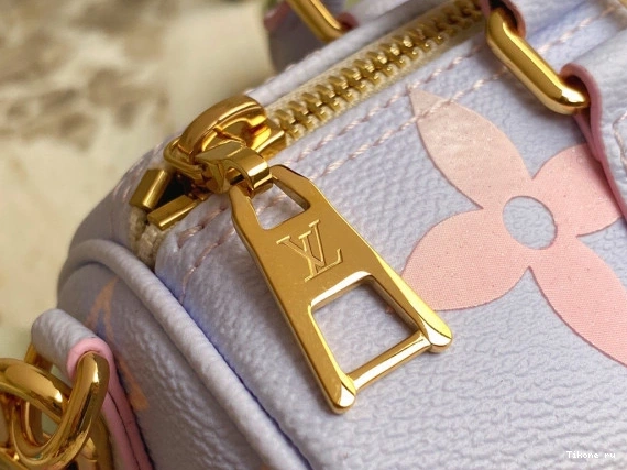 Cheap BB PAPILLON VUITTON LOUIS 0803